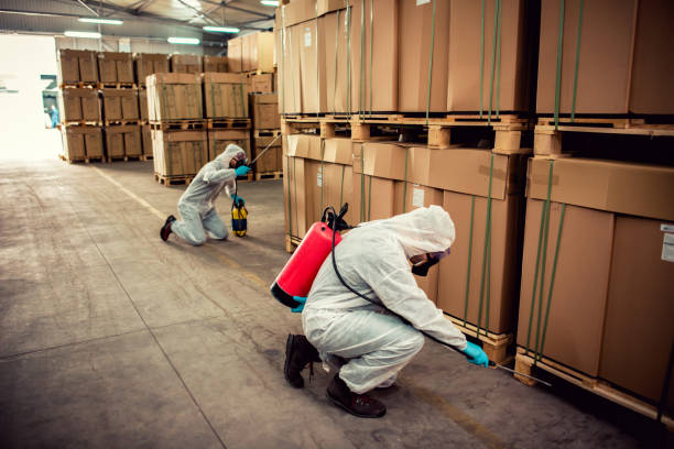 Best Pest Control for Businesses  in Braidwood, IL