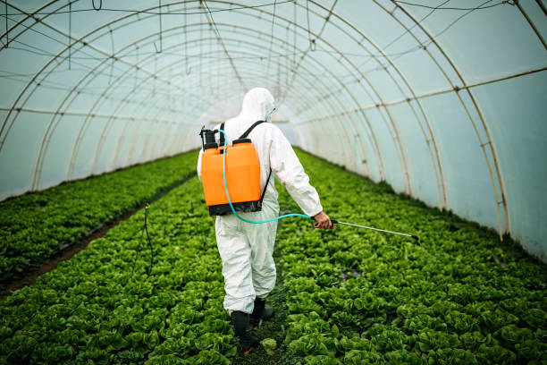 Best Local Pest Control Services  in Braidwood, IL