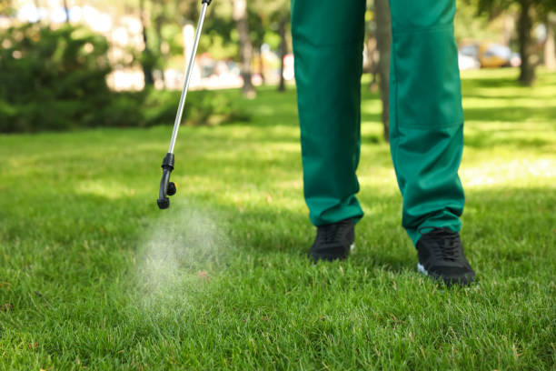 Trusted Braidwood, IL Pest Control Experts