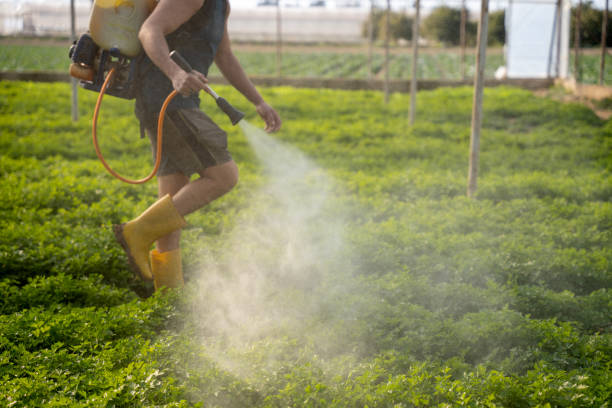 Best Pest Inspection Near Me  in Braidwood, IL