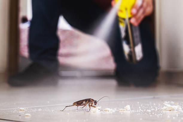 Best Pest Removal Services  in Braidwood, IL