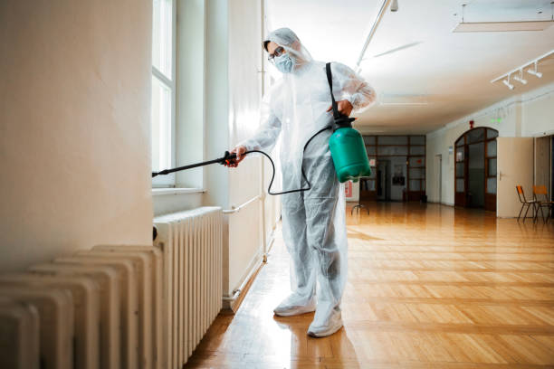 Best Termite Control Services  in Braidwood, IL