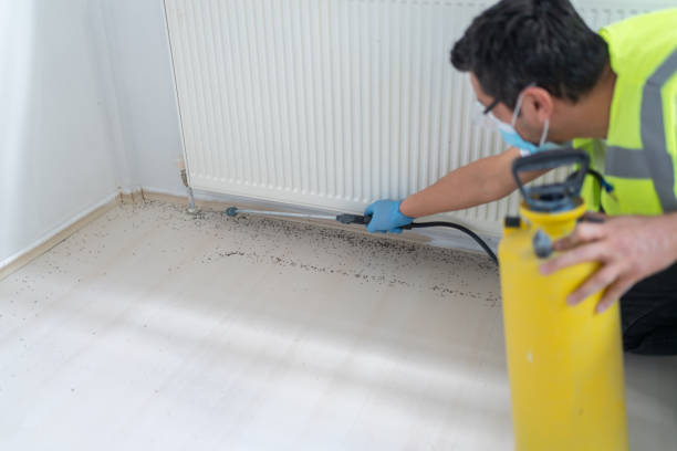 Best Ant Control Services  in Braidwood, IL