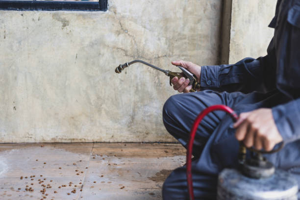 Best Local Pest Control Services  in Braidwood, IL